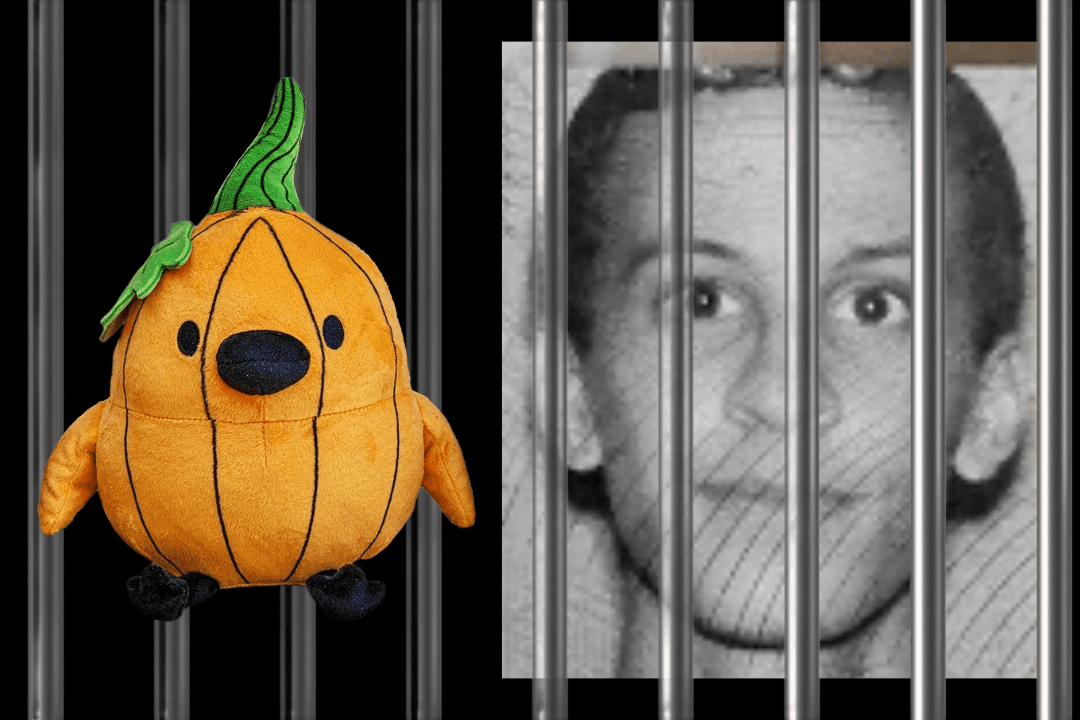 PointCrow's Criminal Past